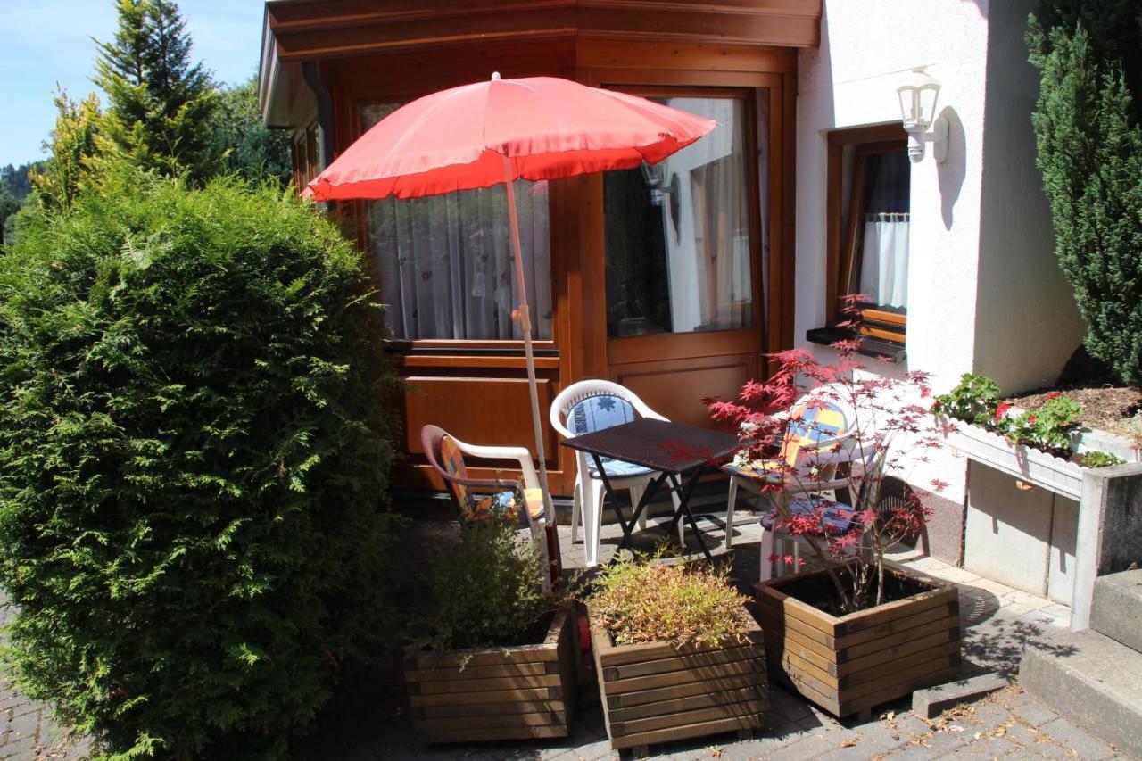 Haus Hirtenbergblick Lonau Екстериор снимка