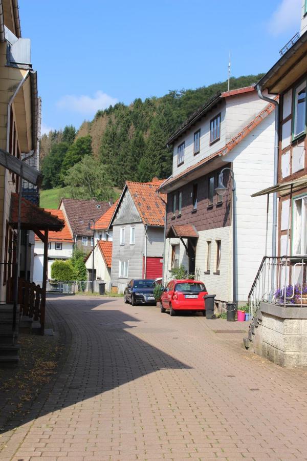 Haus Hirtenbergblick Lonau Екстериор снимка