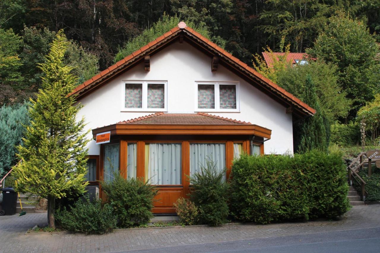 Haus Hirtenbergblick Lonau Екстериор снимка
