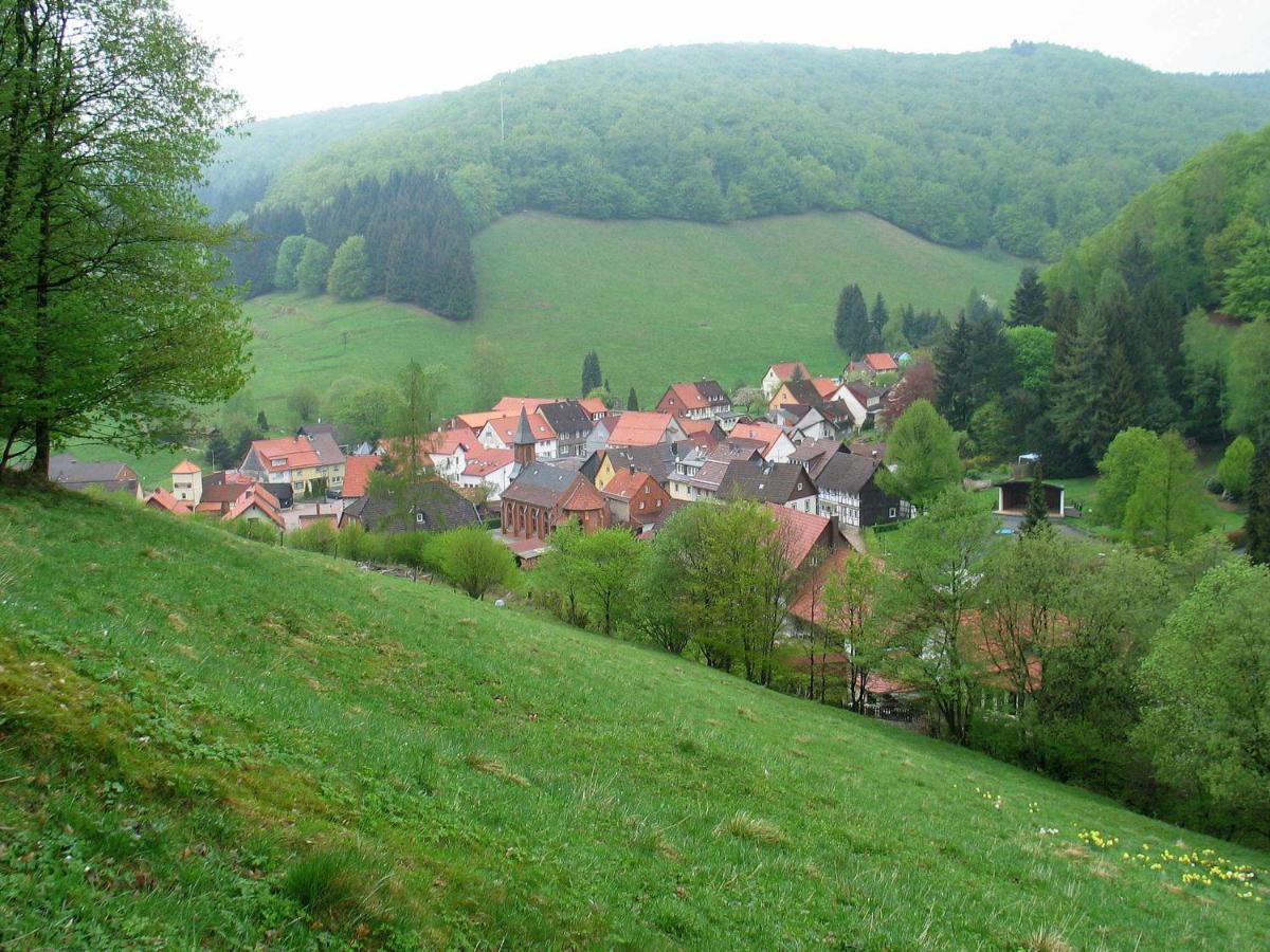 Haus Hirtenbergblick Lonau Екстериор снимка